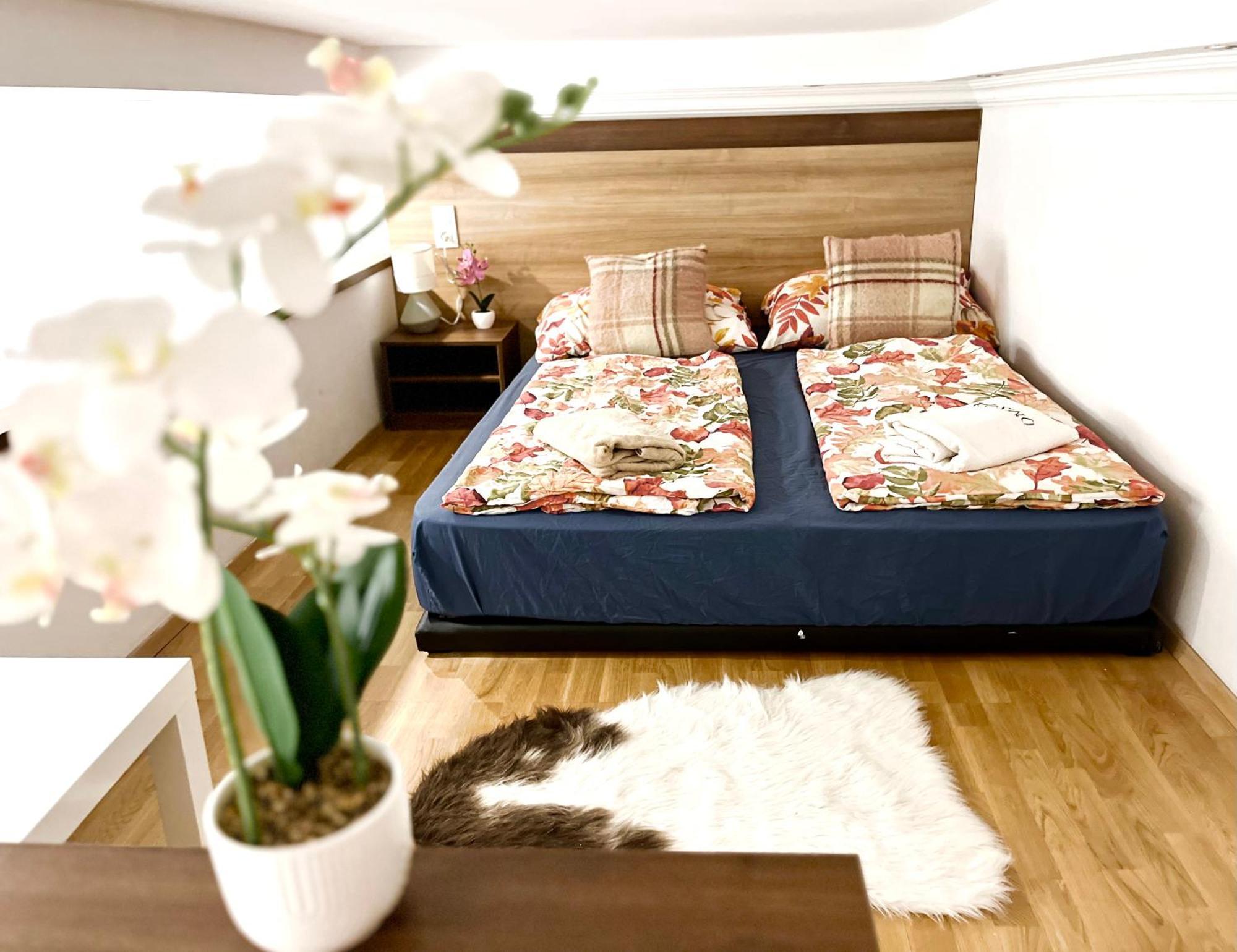 Ground Floor Apartments In The Centre Of The City — Photos 2
